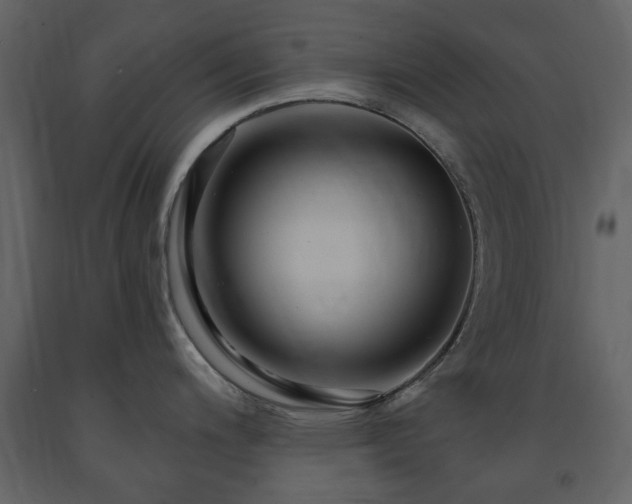 X0000091641200200708231151