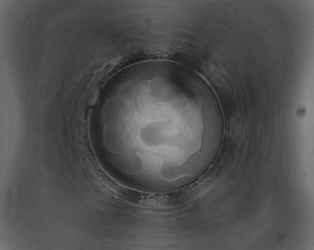 X0000091641201200708231151