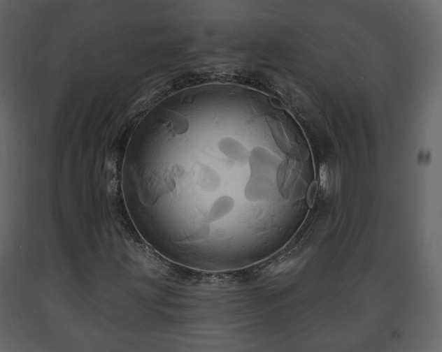 X0000091641203200708231151