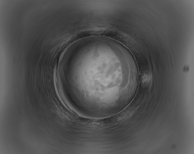 X0000091641204200708231151