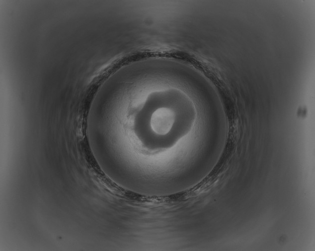 X0000091641205200708231151