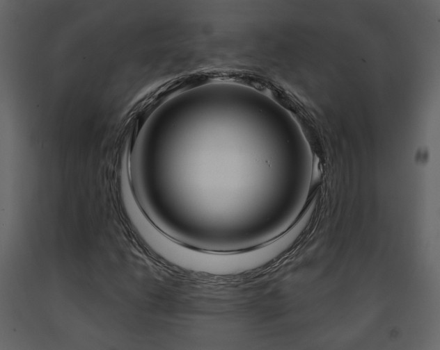 X0000091641206200708231151