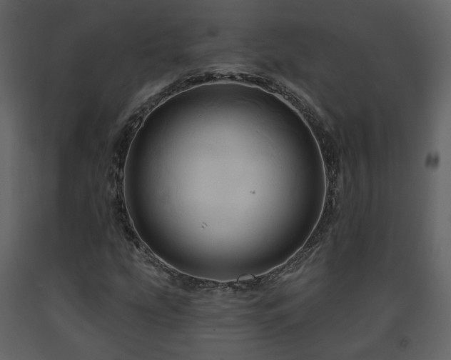 X0000091641207200708231151