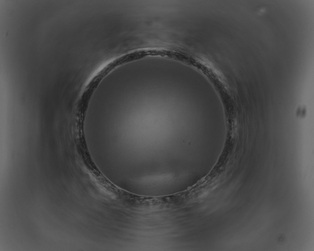 X0000091641208200708231151