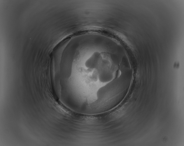 X0000091641209200708231151