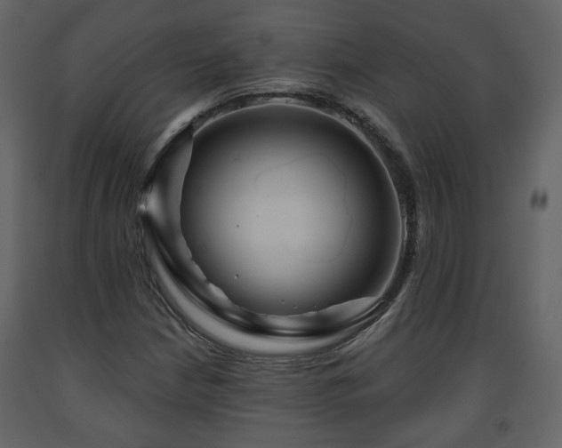 X0000091641210200708231151