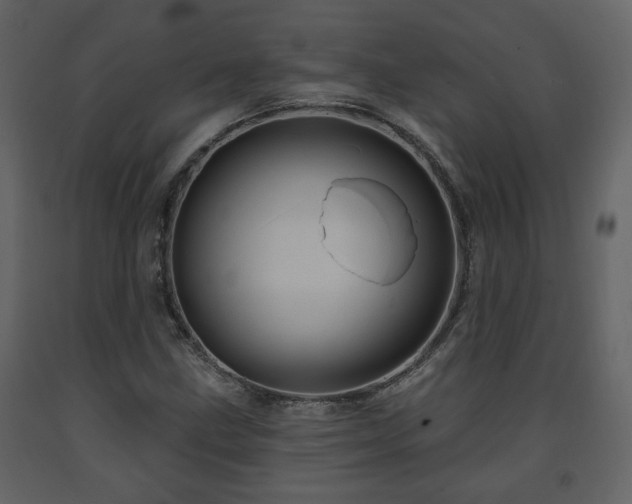 X0000091641211200708231151