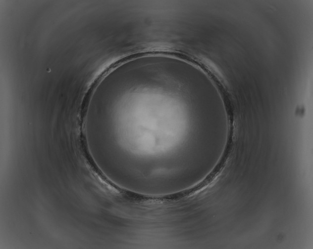 X0000091641212200708231151