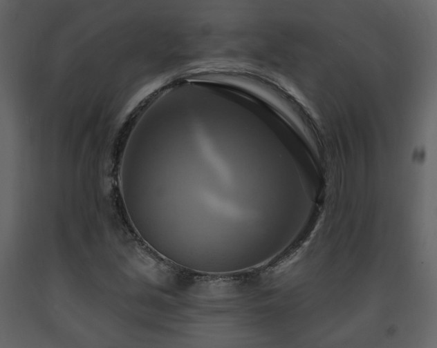 X0000091641213200708231151
