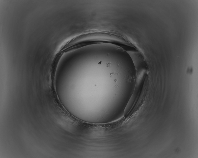 X0000091641214200708231151