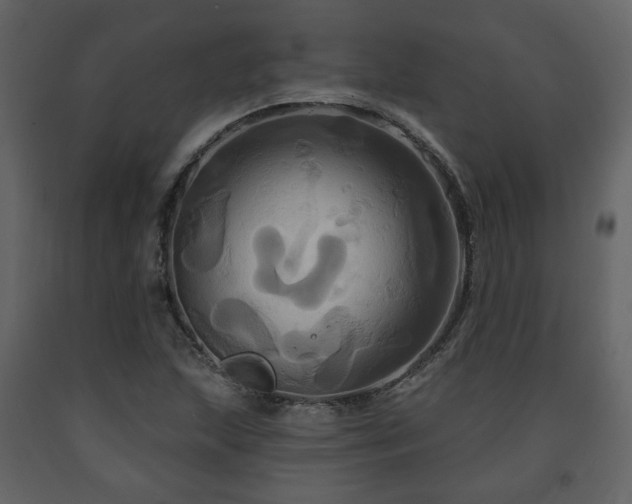X0000091641215200708231151
