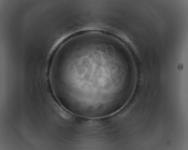 X0000091641216200708231151