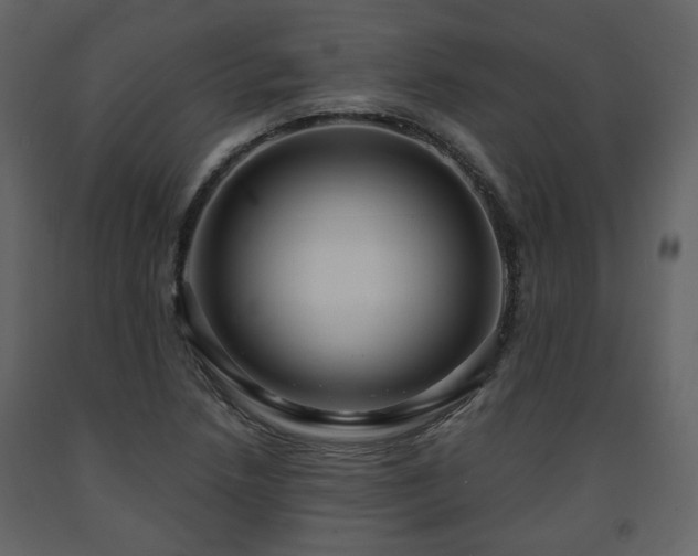 X0000091641218200708231151