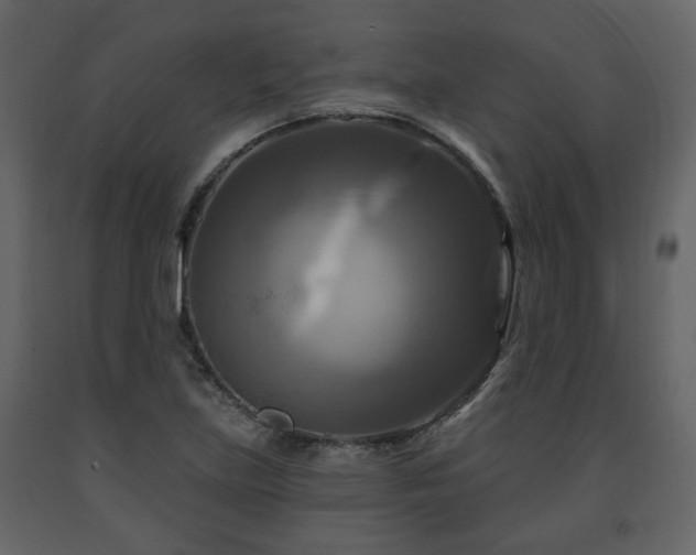 X0000091641219200708231151