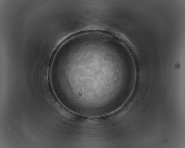 X0000091641220200708231151