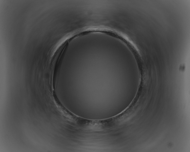 X0000091641221200708231151