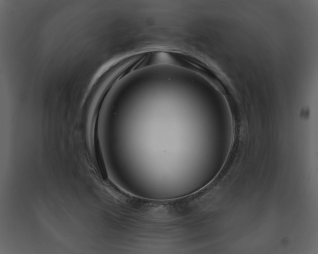 X0000091641222200708231151