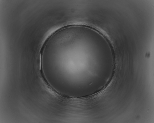 X0000091641223200708231151