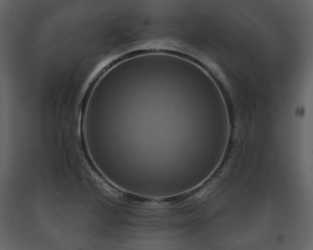 X0000091641224200708231151