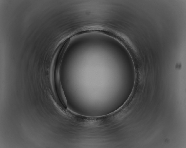 X0000091641225200708231151