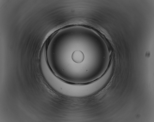 X0000091641226200708231151