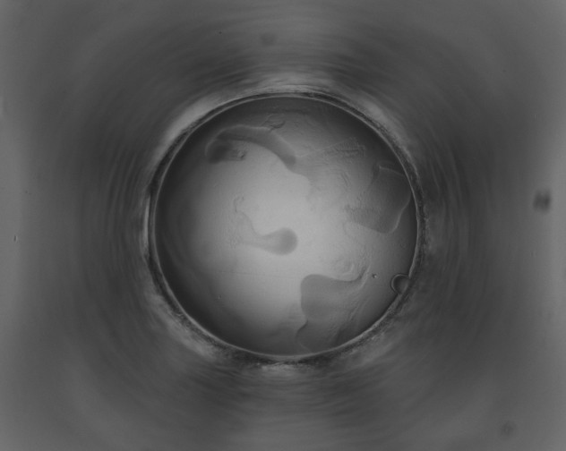 X0000091641227200708231151