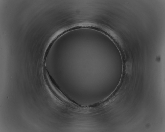X0000091641229200708231151