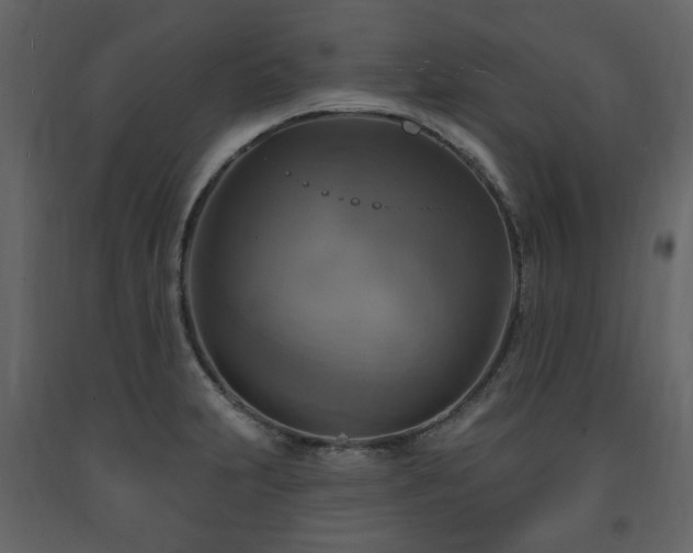 X0000091641231200708231151