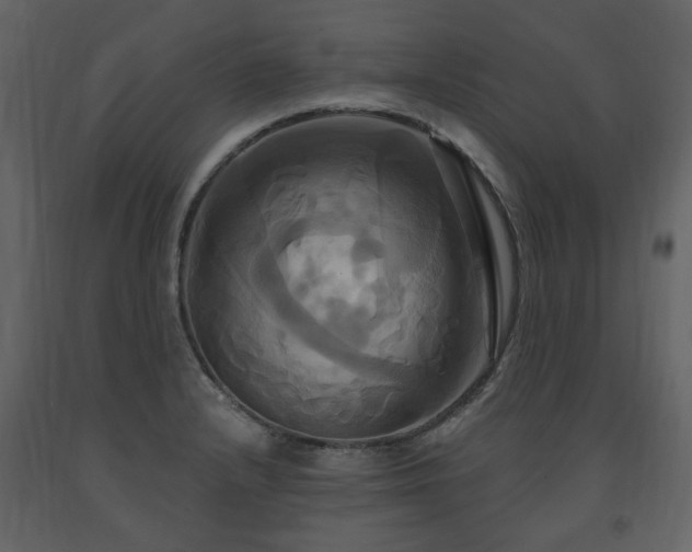X0000091641232200708231151