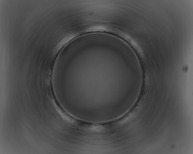 X0000091641233200708231151