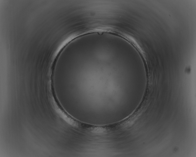 X0000091641235200708231151