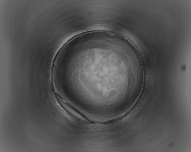 X0000091641236200708231151
