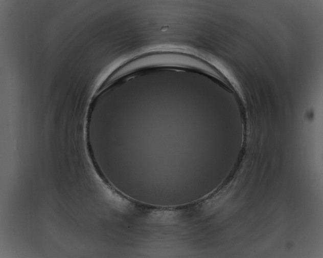 X0000091641237200708231151