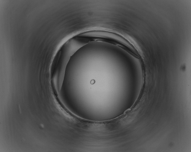 X0000091641238200708231151