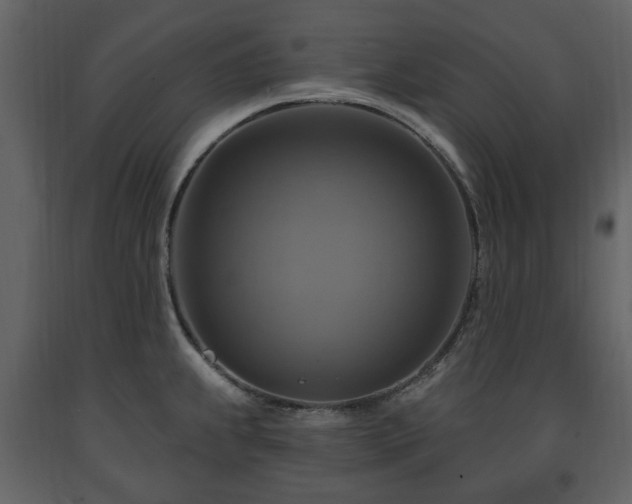 X0000091641239200708231151