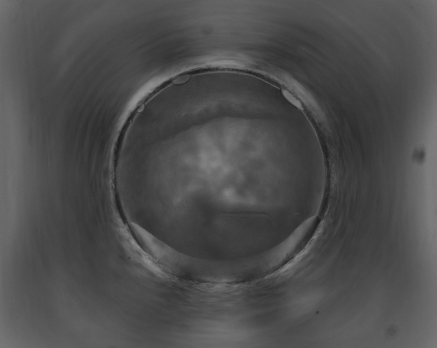 X0000091641240200708231151