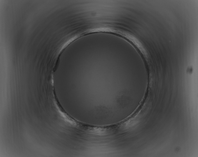 X0000091641241200708231151