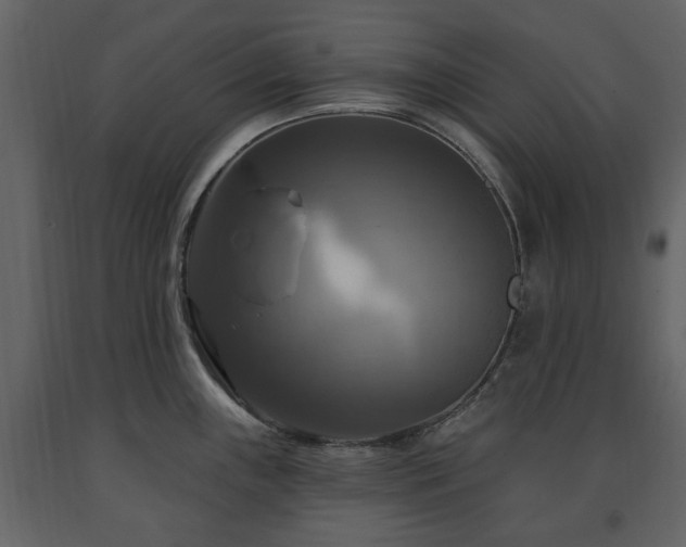 X0000091641243200708231151