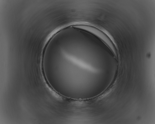 X0000091641245200708231151