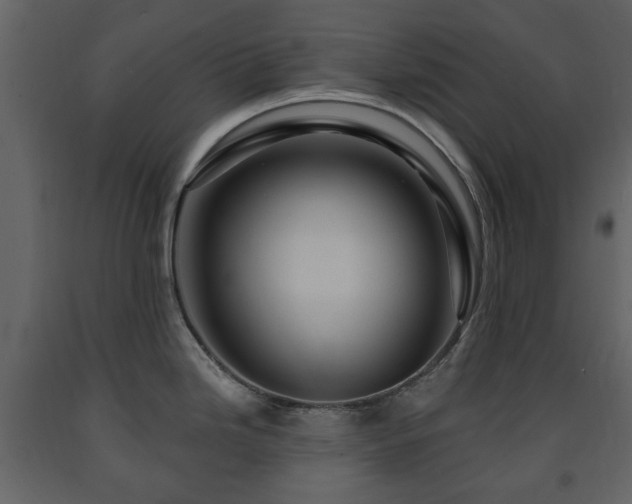 X0000091641246200708231151