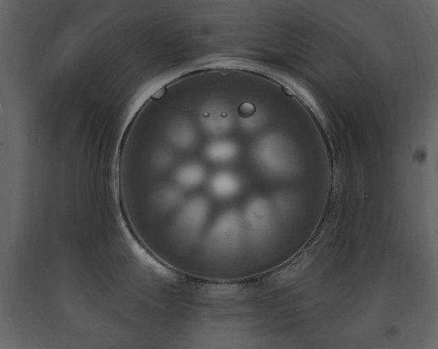 X0000091641247200708231151