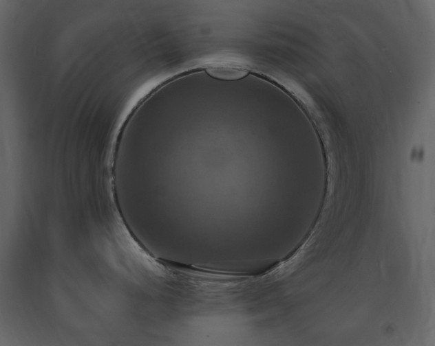 X0000091641248200708231151