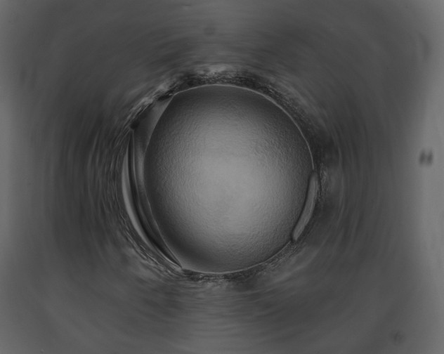 X0000091641250200708231151