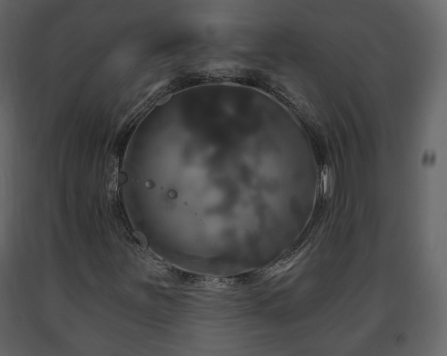 X0000091641251200708231151