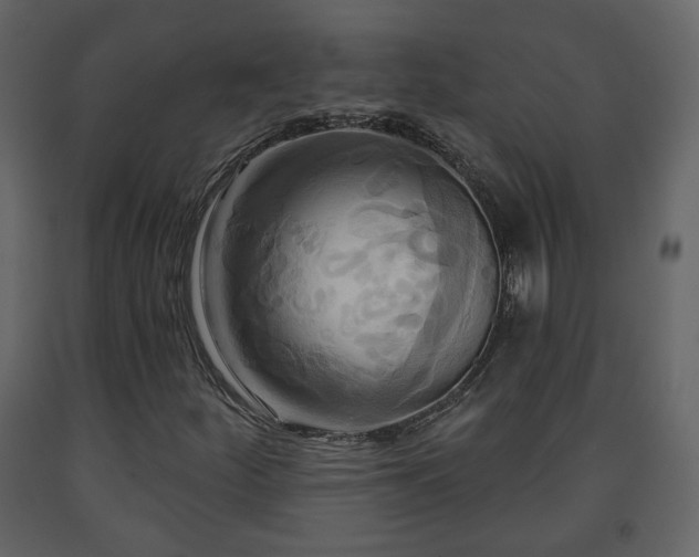 X0000091641252200708231151