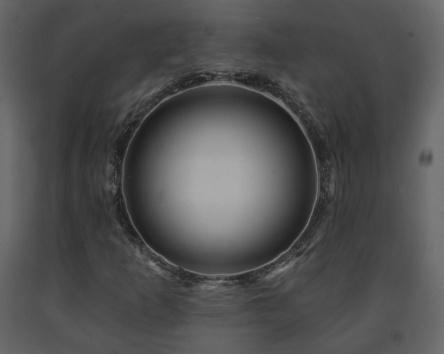 X0000091641253200708231151