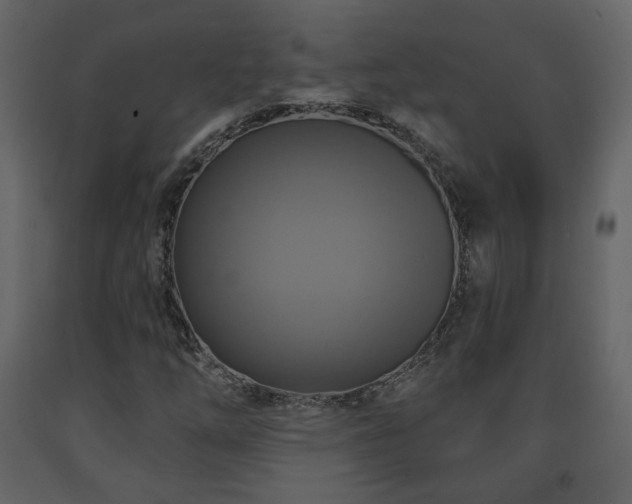 X0000091641254200708231151