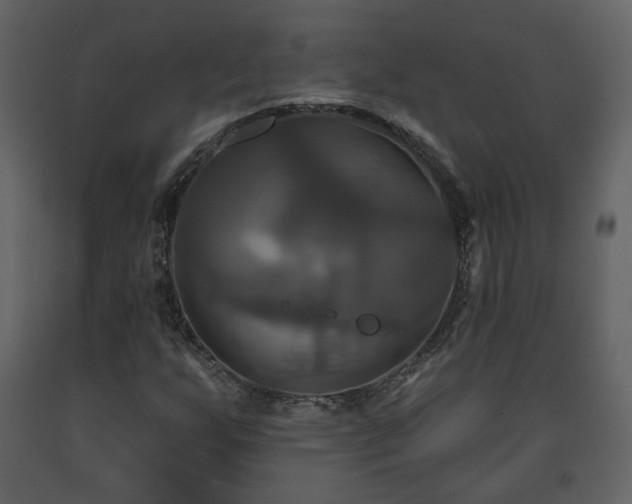 X0000091641255200708231151