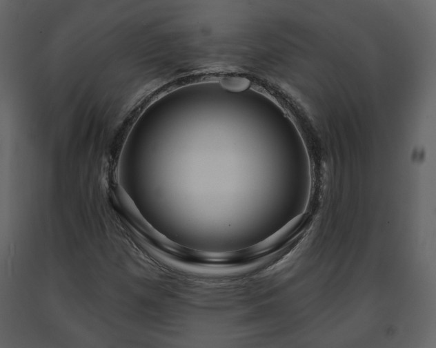 X0000091641257200708231151