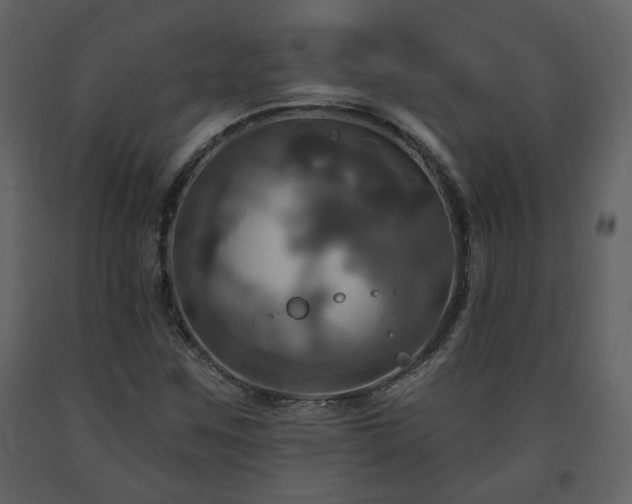 X0000091641259200708231151